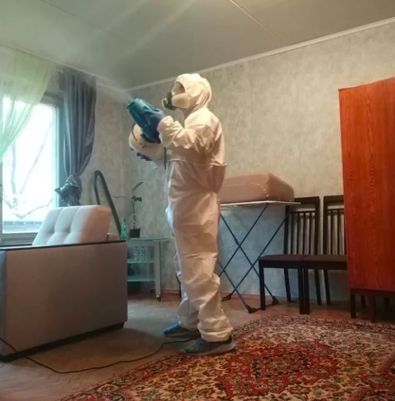 дезинсекция квартиры в Ростове